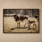 Longhorn Life Canvas Art featuring a Texas Longhorn cow and calf in a peaceful ranch pasture with walnut wood floater frame.