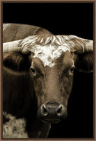 Longhorn steer wall art canvas with black background framed in walnut western decor