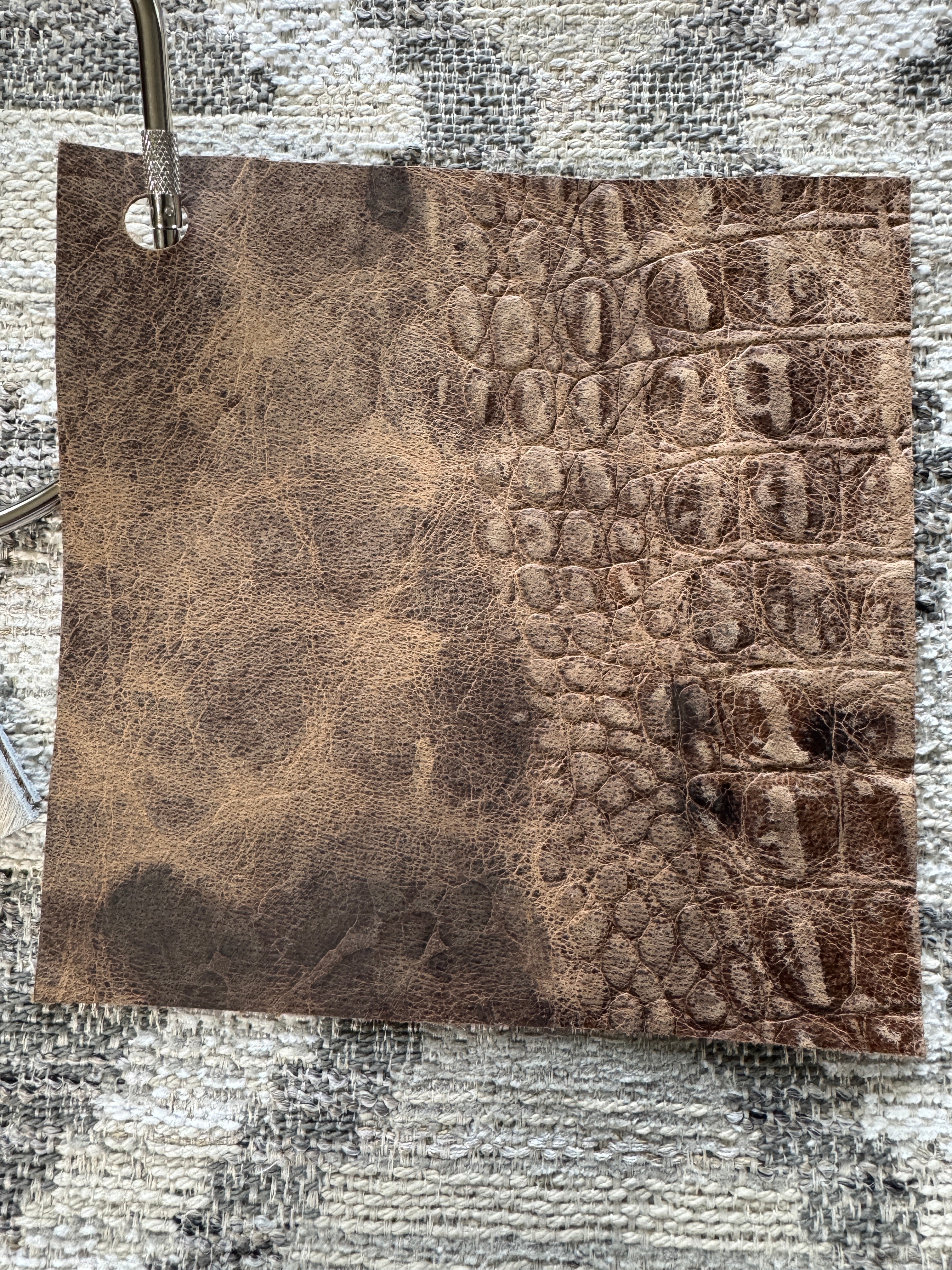 Sample of matte brown gator embossed leather 