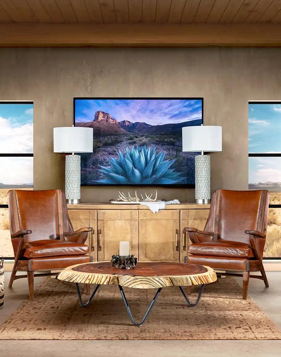 Desert plants and plains framed art with Agave plant in rustic modern sitting room - Your Western Decor