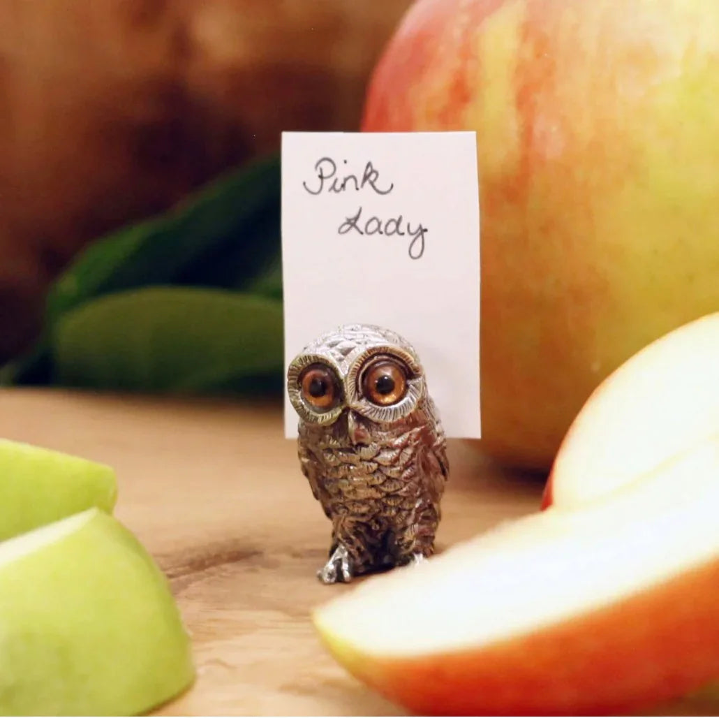 Pewter Owl Place Card Holder - Your Western Decor