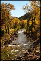 A scenic landscape photograph of a rocky river flowing through a forest with golden yellow autumn trees under a clear blue sky.