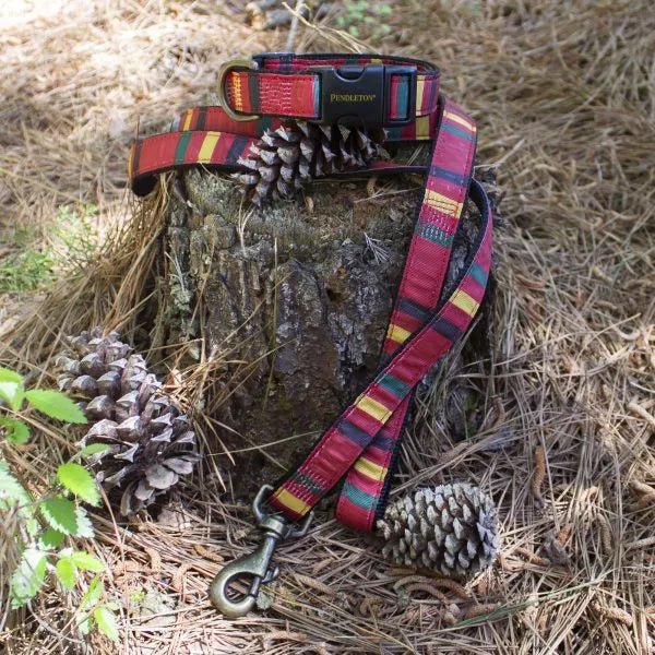 Pendleton Mount Rainier National Parks Leash & Collar, made in the USA - Your Western Decor