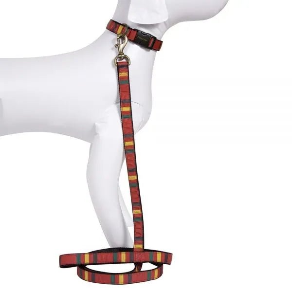 Pendleton Mount Rainier National Parks Leash & Collar, made in the USA - Your Western Decor