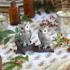 Perched owls pewter salt and pepper shakers - Your Western Decor