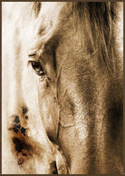 A sepia-toned close-up portrait of a horse's face, filling the frame with a textured, artistic finish and a thin dark border.