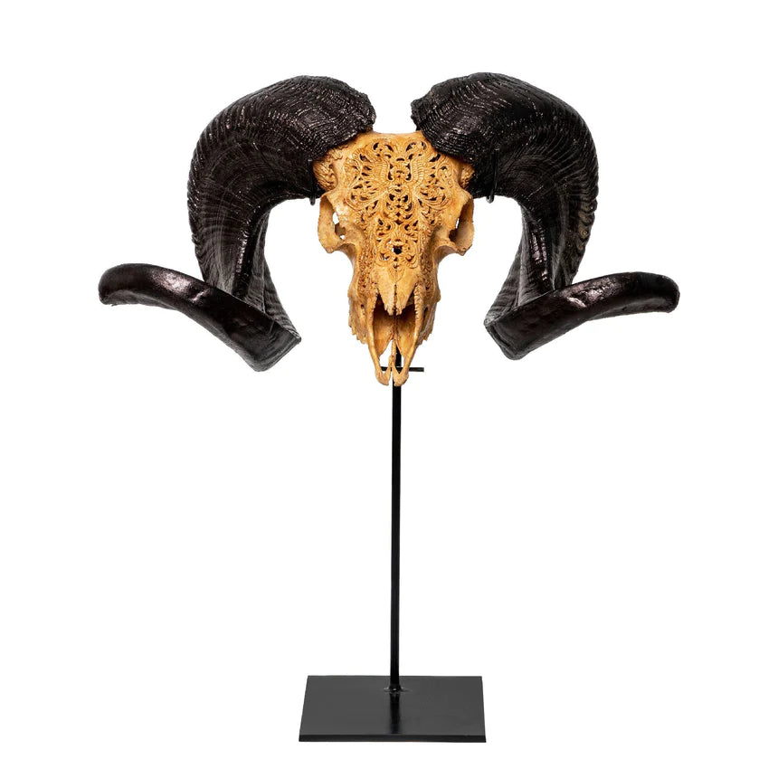 Taxidermy Skull Stand Mount for Ram Skull - Your Western Decor