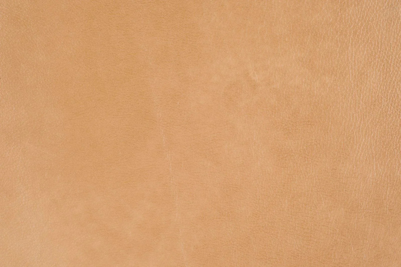 Detail of Renaldi Sand Leather - Your Western Decor