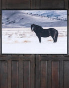 Royal Black - Framed Horse Art - Your Western Decor