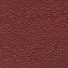 Detailed image of Salvador red leather sample 