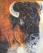 Snow tee Bison art by Sherri Alexander - Your Western Decor
