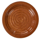southwestern rustic stoneware dinner plate in terra cotta glaze