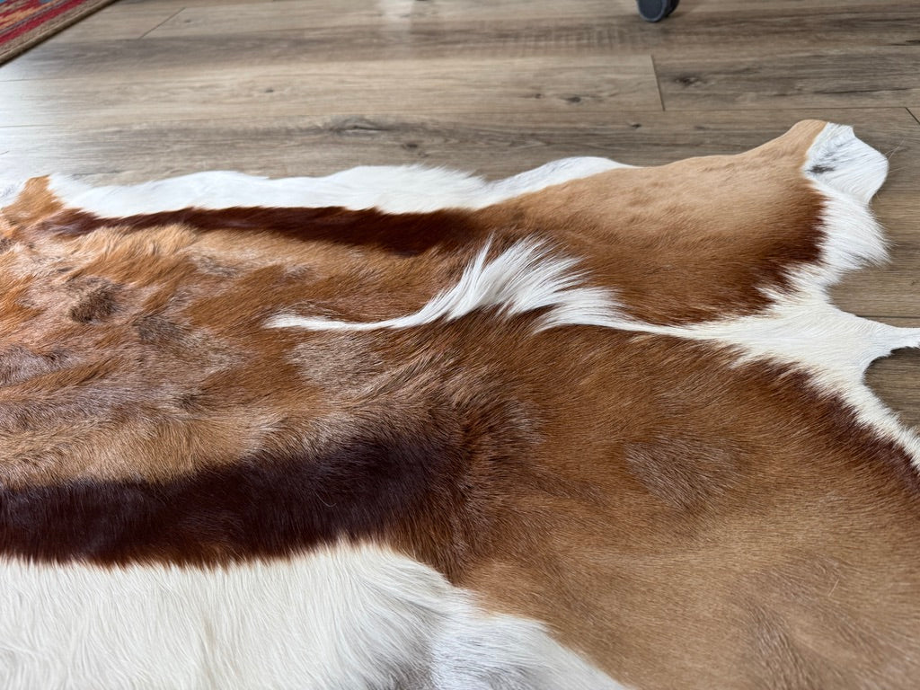 Authentic Springbok Deer Hide - Your Western Decor