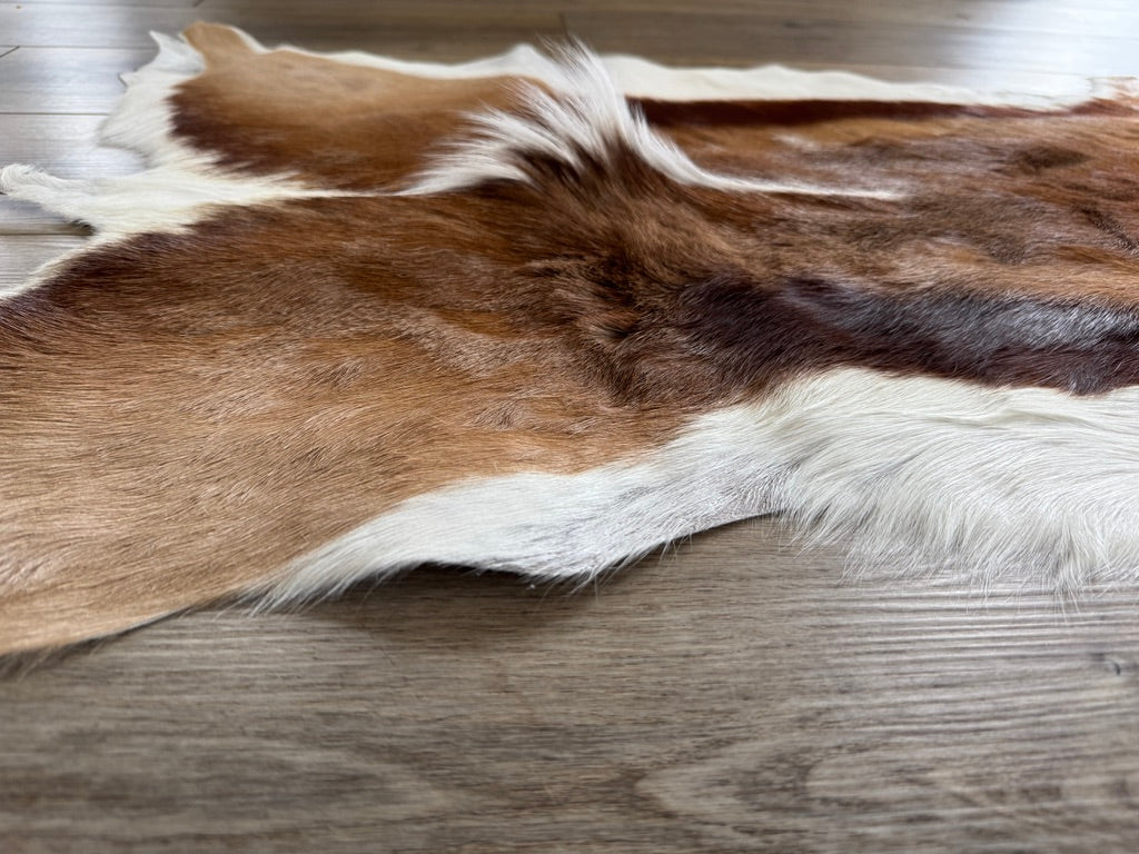 Authentic Springbok Deer Hide detail - Your Western Decor