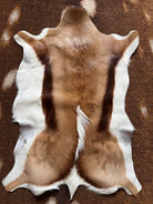 Authentic Springbok Deer Hide - Your Western Decor