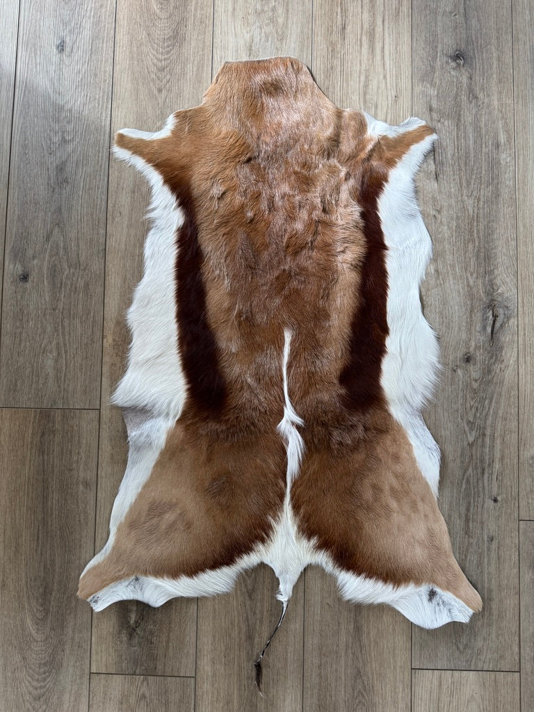 Authentic Springbok Deer Hide - Your Western Decor