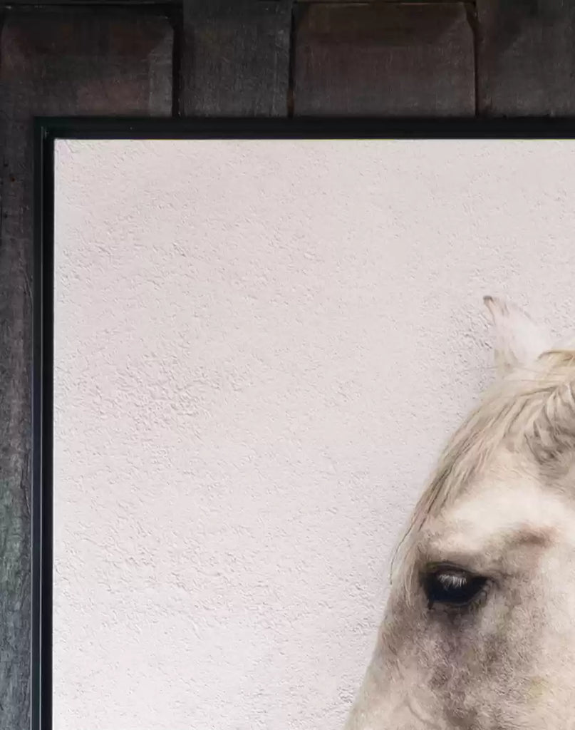 Stabled - White Horse Canvas Art texture detail - American made equine art from Your Western Decor