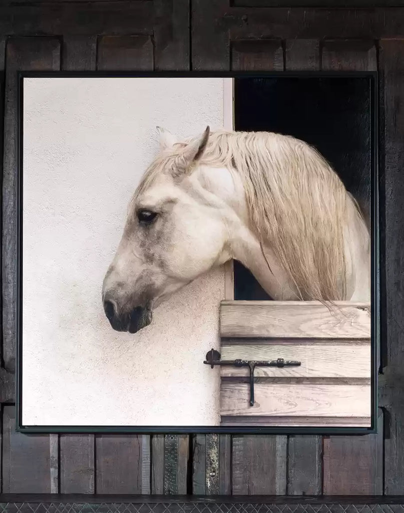 Stabled - White Horse Canvas Art- Your Western Decor