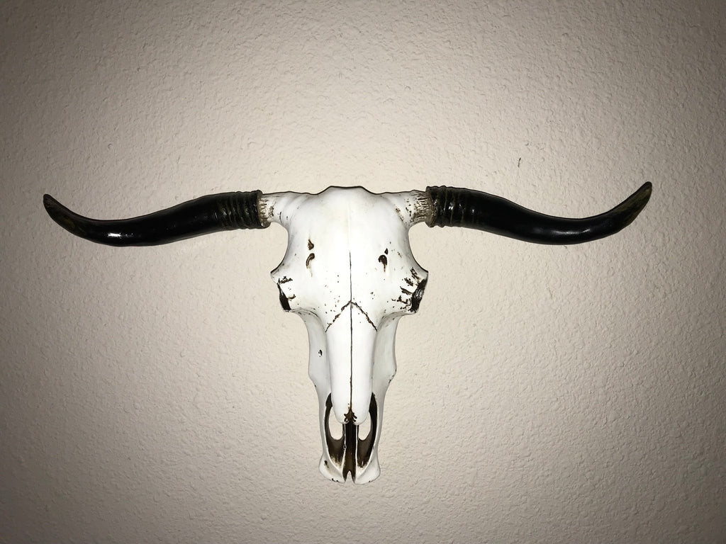 Steer Skull Western Wall Hanging - Your Western Decor