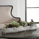 Decorative arrangement of succulents on a wooden log in a room with a chair and window - Your Western Decor