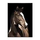 Tempered Glass Framed Paint Horse Art. Brown and white paint horse against a black background - Your Western Decor