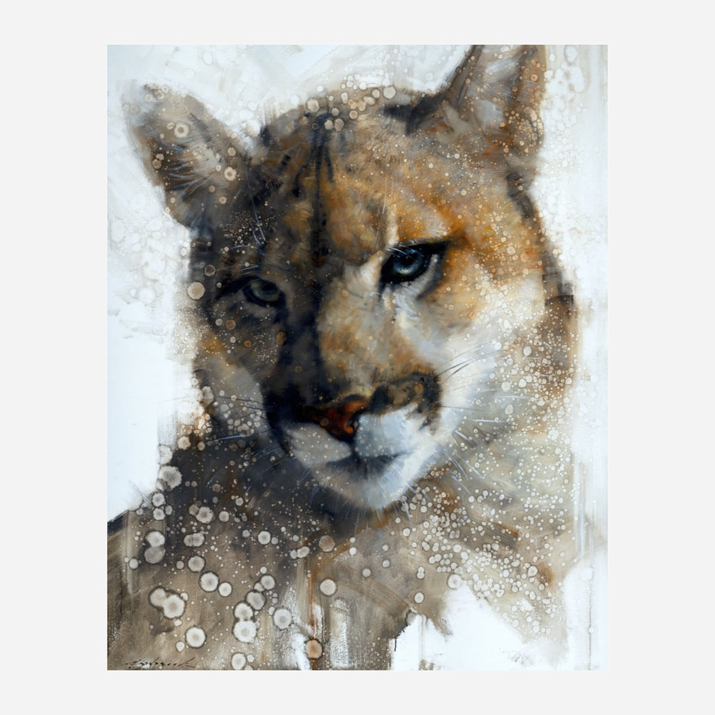 Stretched canvas cougar art unframed - Your Western Decor
