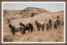 Horses standing in a dry, open landscape with hills in the background - Your Western Decor