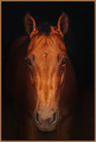 Through the Dark - Framed Canvas Horse Art - Your Western Decor