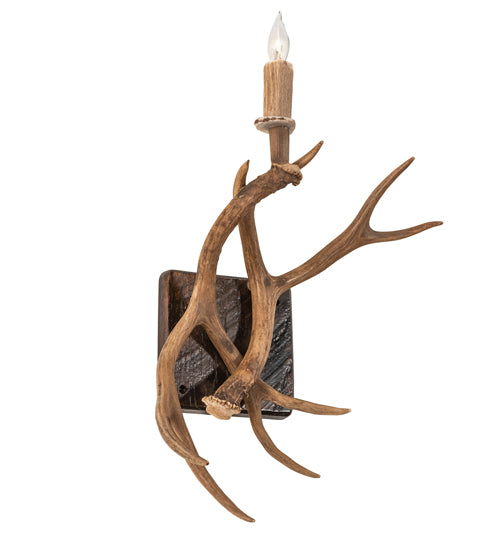 Elk antler wall sconce with natural shed antlers and candle style light