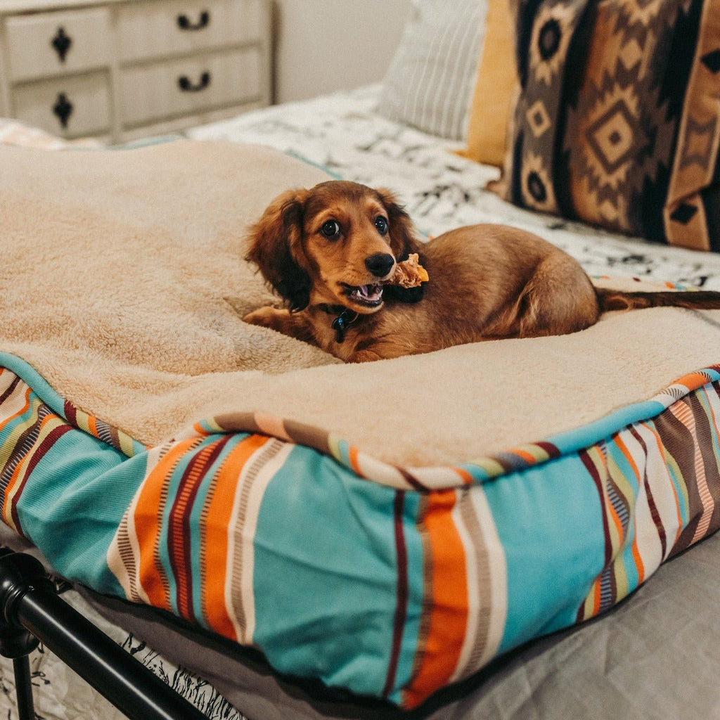 Turquoise Stripe Fleece Dog Bed - Your Western Decor
