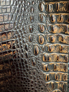 Close-up of crocodile skin with detailed texture