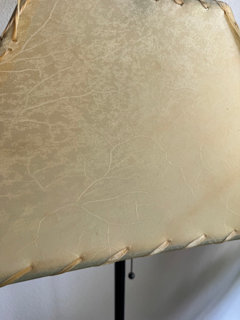 Close up detail of veining in natural rawhide lamp shade