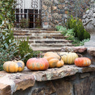 Pumpkins on a stone ledge with a stone building in the background - Your Western Decor