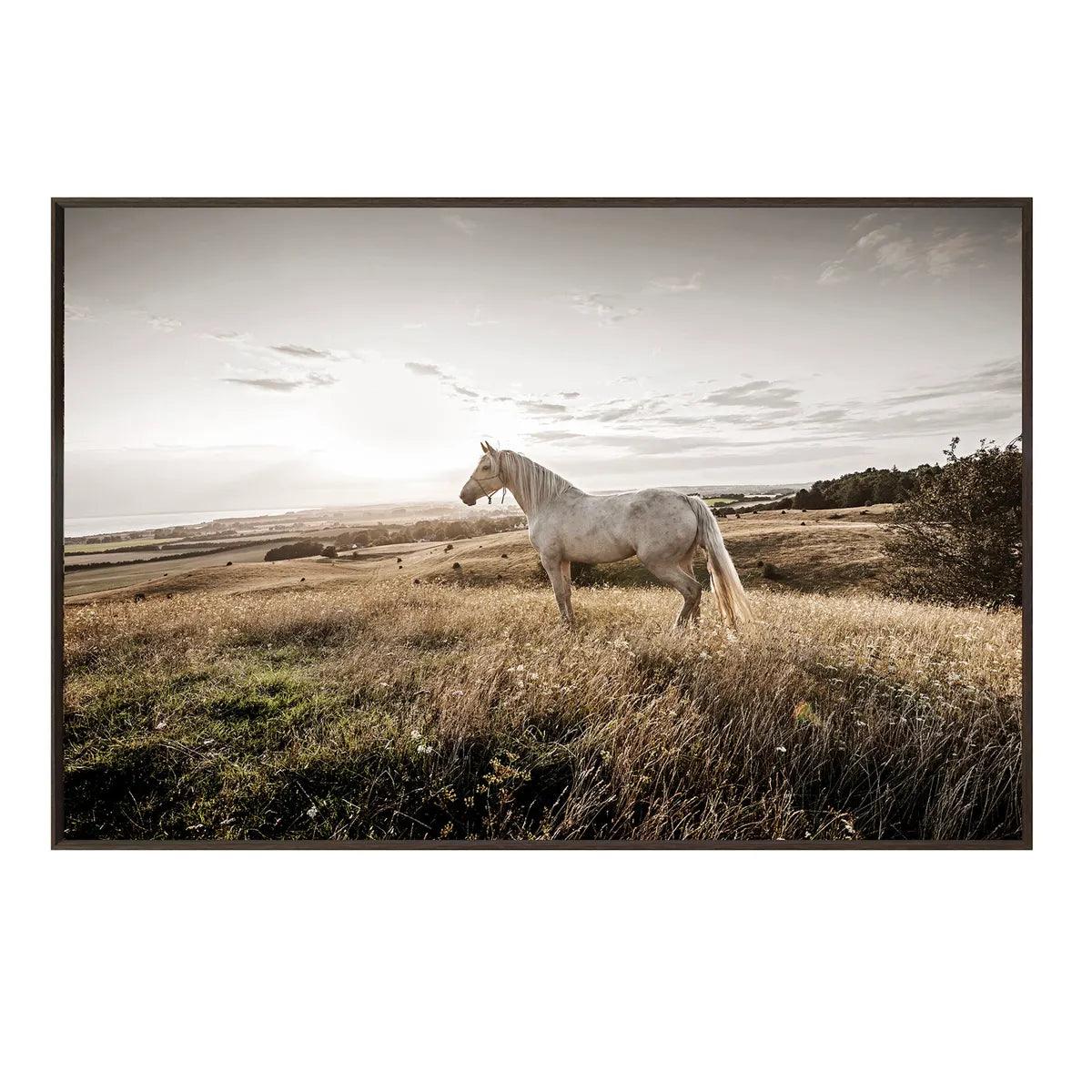 White Horse Art on Tempered Glass, framed - Your Western Decor