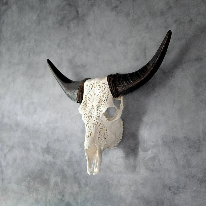 Serendipity Rose Carved Steer Skull with natural horns - Your Western Decor