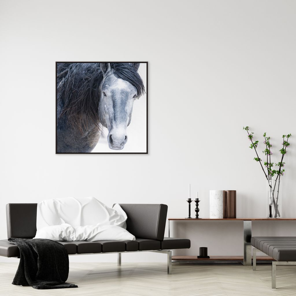 Framed artwork of a horse's head on a wall in a modern living room - Your Western Decor