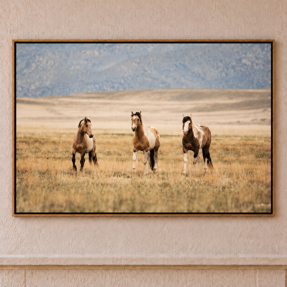 Horizontal canvas art of 3 horses on the open grassy plains framed in a wood floater frame. American made