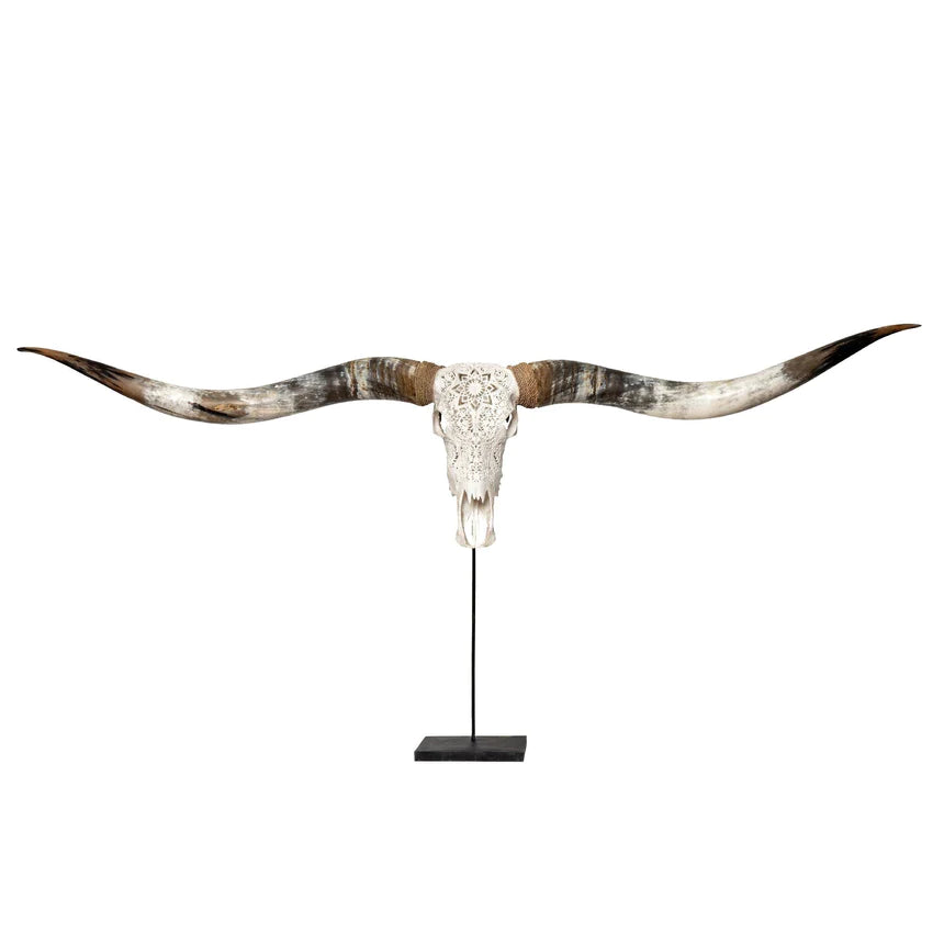 Taxidermy Skull Stand Mount for XL Longhorn Skull - Your Western Decor