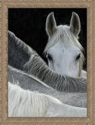 Close-up of a horse with another horse partially visible, framed with a wooden frame - Your Western Decor