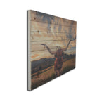 Wood Plank Longhorn Wall Art side view - Your Western Decor