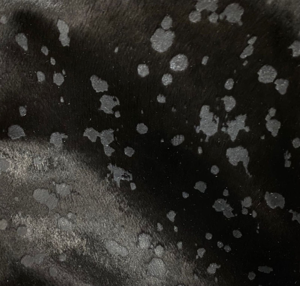 Acid Washed Black on Black Cowhide - Cowhide upholstery - Your Western Decor Design Studio