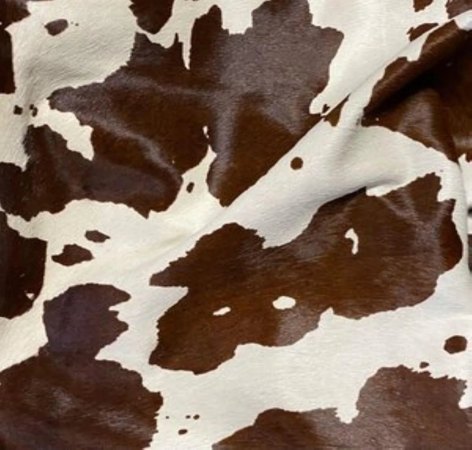 Brown Cow Pattern