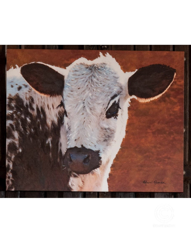 Calf Art on Canvas - Signed fine art - Your Western Decor, LLC
