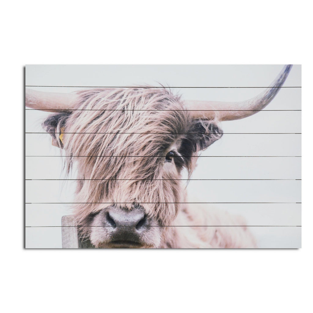 Highland Cow Wood Plank Wall Art - Your Western Decor