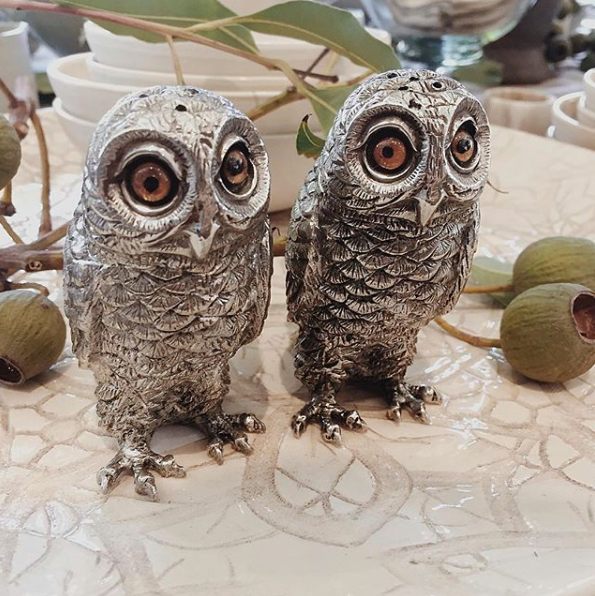 Curious Owls Salt & Pepper Shakers - Your Western Decor