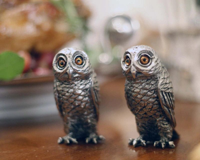 Pewter Curious Owls Salt & Pepper Shaker Set - Your Western Decor