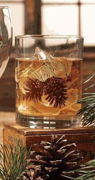 Pine Cone Printed Double Old Fashioned Bar Glasses. Your Western Decor