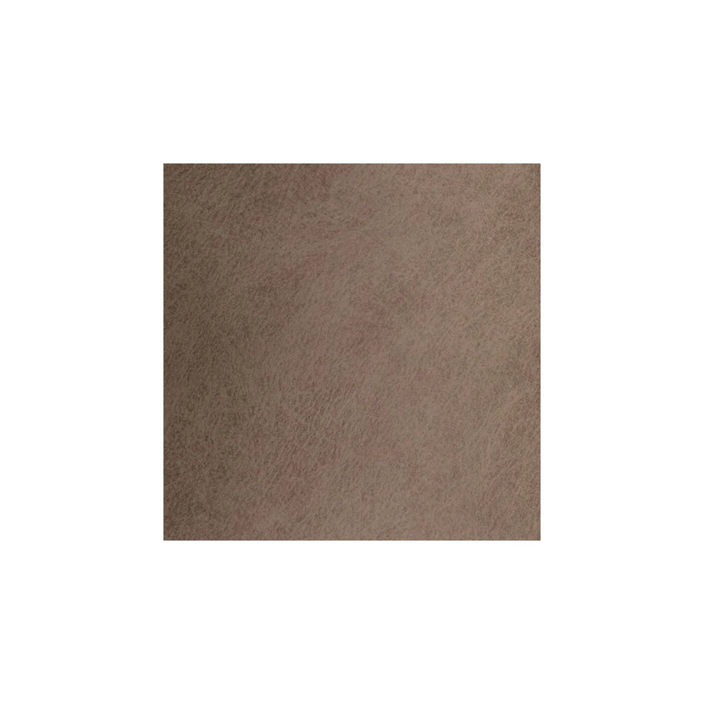 Silver Fox Leather Swatch - Your Western Decor