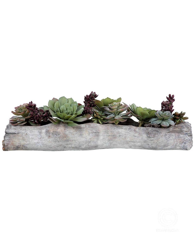 Succulent arrangement in cement planter - Your Western Decor