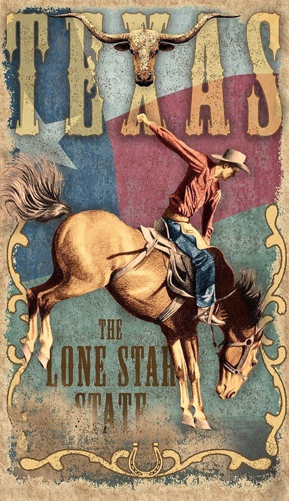 Texas Lone Star State Vintage Sign - Your Western Décor & Design, LLC